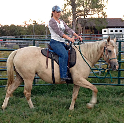 Ginger under saddle